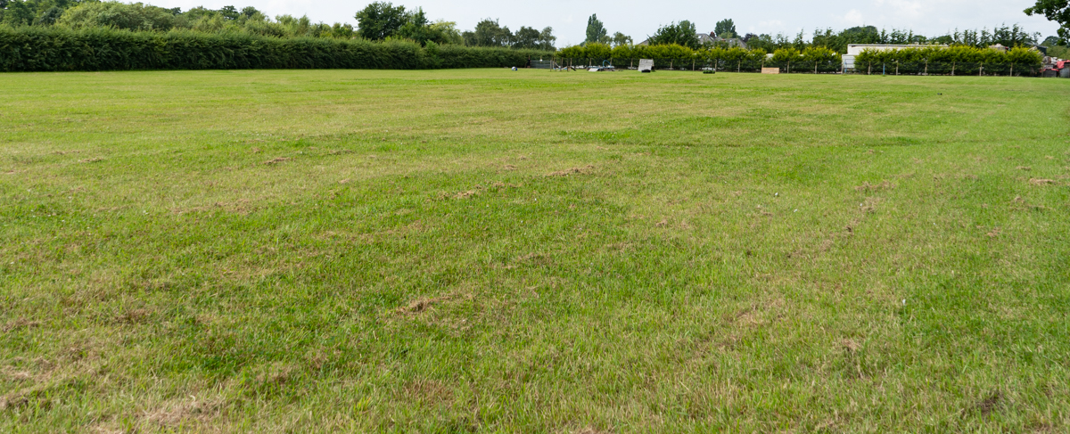 Large dog walking field in New Longton Preston Lancashire